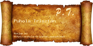 Puhola Trisztán névjegykártya